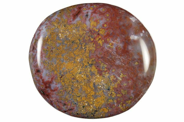 Polished Ocean Jasper Stone - New Deposit #223036